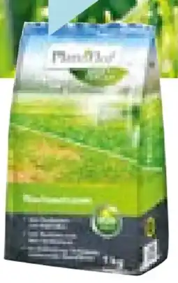 Hellweg Plantiflor Nachsaatrasen Angebot