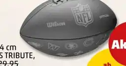 PENNY Wilson NFL American Football Angebot