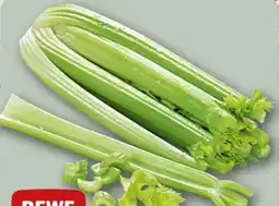 REWE Rewe Beste Wahl Staudensellerie Angebot