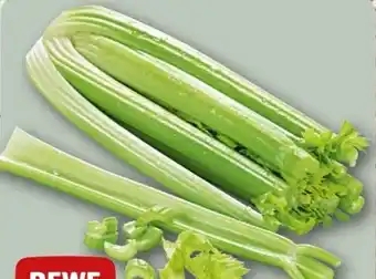 REWE Rewe Beste Wahl Staudensellerie Angebot