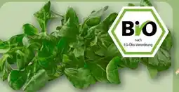 REWE Rewe Bio Feldsalat Angebot
