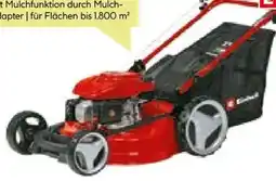 BayWa Bau & Garten Einhell Benzinrasenmäher GC-PM 51/3 S HW Angebot