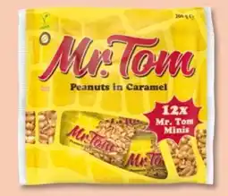 PENNY Hosta Mr.Tom Minis Angebot