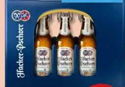 PENNY Hacker-Pschorr Münchner Hell Angebot