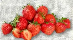nahkauf Erdbeeren Angebot
