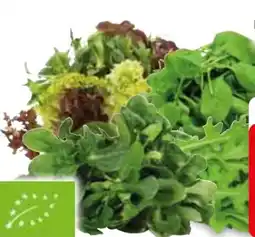 Edeka Bio-Salat Angebot