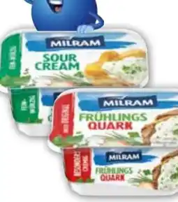 Edeka Milram Zaziki Angebot