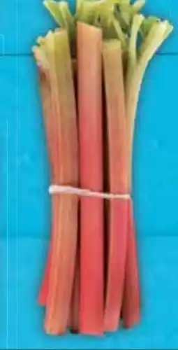 E-Center Rhabarber Angebot