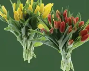 E-Center Edeka Herzstücke Tulpenstrauß XL Angebot