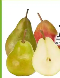 Edeka Tafelbirnen Xenia Angebot