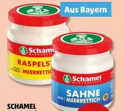 PENNY Schamel Raspelstix Meerrettich Angebot