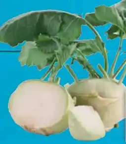 E-Center Kohlrabi Angebot