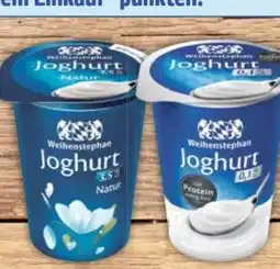 E-Center Weihenstephan Joghurt Angebot