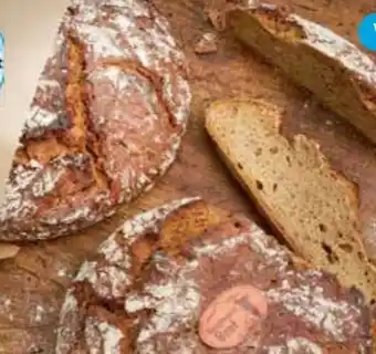 E-Center Backstube Wünsche Vegan Bergbauernbrot Angebot
