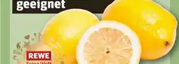 REWE Rewe Feine Welt Amalfi Zitronen Angebot