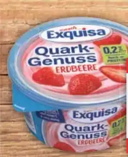 E-Center Exquisa Fruchtquark Angebot