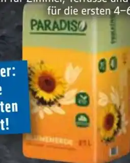 Edeka Paradiso Bio Blumenerde Angebot