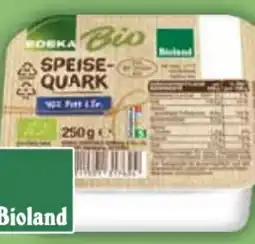 E-Center Edeka Bio Speisequark Angebot