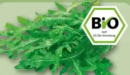 REWE Rewe Bio Bio-Rucola Angebot