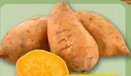 REWE Süßkartoffeln Angebot
