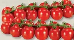 Edeka Frischemarkt Cherry Rispentomaten Angebot