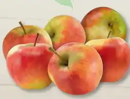 Edeka Frischemarkt Hof Moje Tafeläpfel Angebot