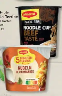 Edeka Frischemarkt Maggi 5 Minuten Terrine Angebot