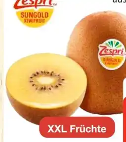 Edeka Zespri Jumbo Kiwi Gold XXL Angebot