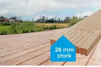 Globus Baumarkt Terrassendielen Douglasie Angebot