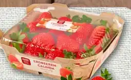 nahkauf Rewe Beste Wahl Erdbeeren Calinda Angebot