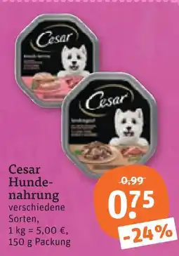 tegut Cesar hundenahrung Angebot