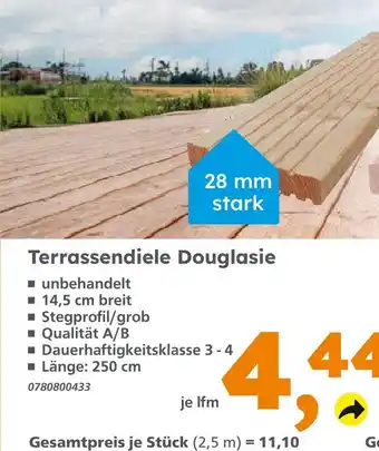 Globus Baumarkt Terrassendiele douglasie Angebot