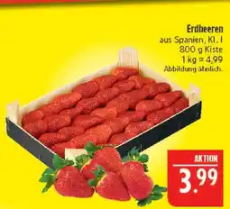 Marktkauf Erdbeeren Angebot