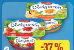 Aldi Nord Ehrmann Obstgarten Angebot