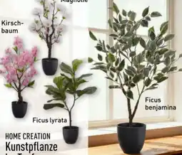 Aldi Nord Home Creation Kunstpflanze Angebot