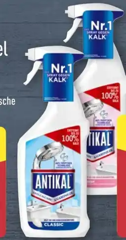 Aldi Nord Antikal Kalkreiniger Angebot