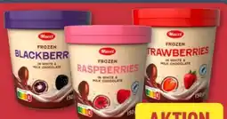 Aldi Nord Mucci Schokolierte Früchte Angebot