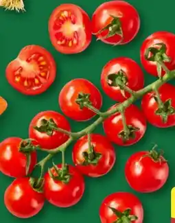 Aldi Nord Mini-Cherryrispentomaten XXL Angebot