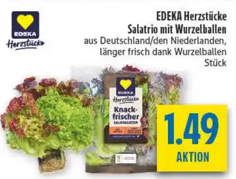diska EDEKA Herzstücke Salatrio mit Wurzelballen Angebot