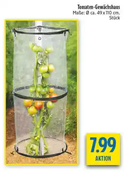 diska Tomaten-Gewächshaus Angebot