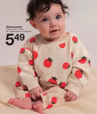 Zeeman Babysweater Angebot
