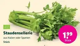 Biomarkt Staudensellerie Angebot
