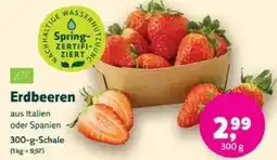 Biomarkt Erdbeeren Angebot