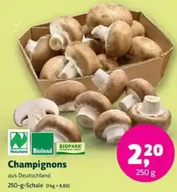Biomarkt Champignons Angebot