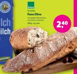 Biomarkt SCHEDEL Pane Olive Angebot