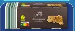 Aldi Nord All Seasons Champi­gnons Angebot