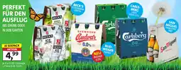 Lösch Depot Carlsberg, SanMiguel, BECK'S Angebot