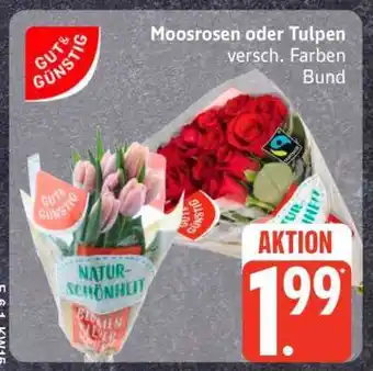 Edeka Moosrosen oder Tulpen Angebot