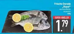 Edeka Frische Dorade Royal Angebot