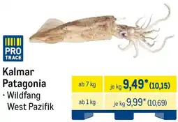 METRO Kalmar Patagonia Angebot